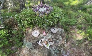Stubbgubben med midsommarkrans